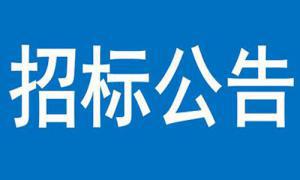 文達?碧城府設(shè)計項目招標公告